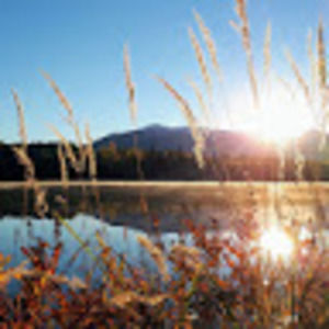 Meet your Posher, Alfred